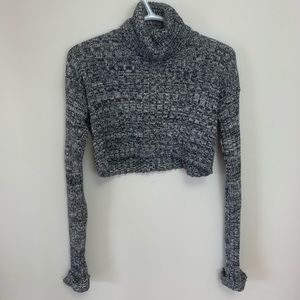 Grey Crop Turtleneck